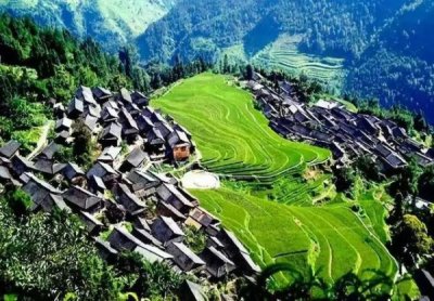 卢国利与五粮液为什么分手