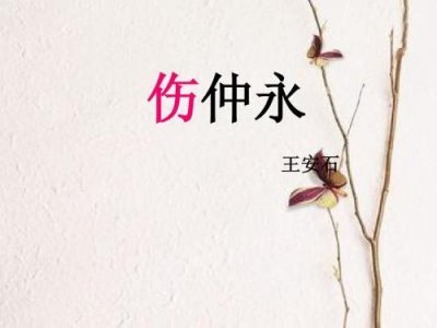 伤仲永教案设计(伤仲永教案板书)