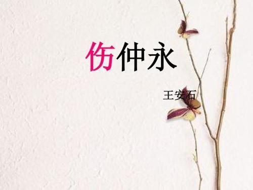 伤仲永教案设计(伤仲永教案板书)-第1张图片-