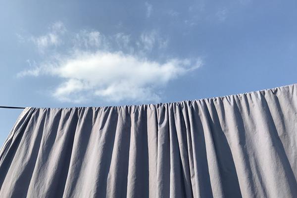 家里臭虫了怎么办,除臭虫最简单的方法(臭虫怎么消灭最简单快速的方法)