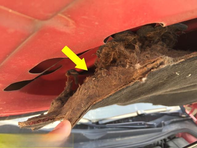 进口敞篷Eos只卖13W？卖家死的心都有-