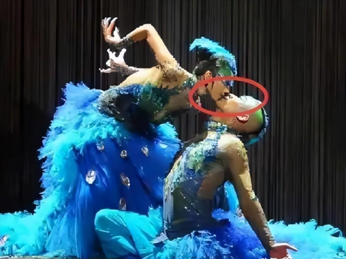 为艺献身当幌子，“一丝不挂”就上台，内娱的“流氓真相”谁来管