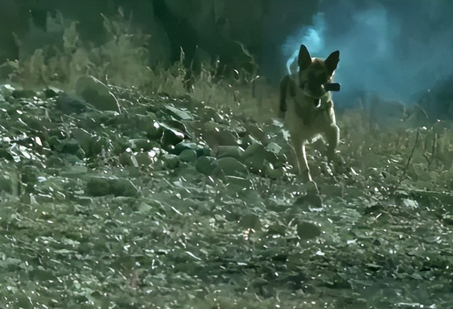 为艺献身当幌子，“一丝不挂”就上台，内娱的“流氓真相”谁来管