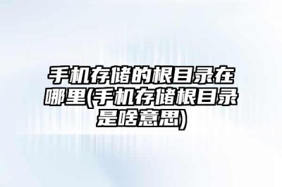 手机存储的根目录在哪里(手机存储根目录是啥意思)