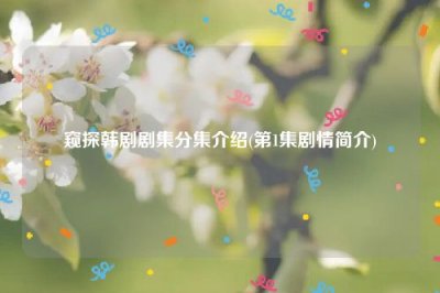 窥探韩剧剧集分集介绍(第1集剧情简介)