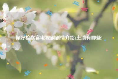 你好检察官电视剧剧情介绍(主演有哪些)