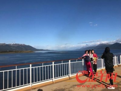 ​智利金羊价格(智利金羊红酒简介)