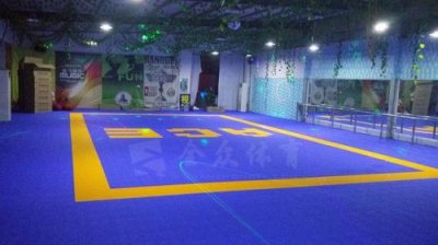 旱冰场地板多少钱(室内旱冰场地板)