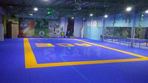 旱冰场地板多少钱(室内旱冰场地板)-第1张图片-