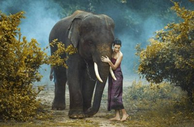 这几位泰剧当红明星:家庭背景强大,学历高,而且生活富足优渥