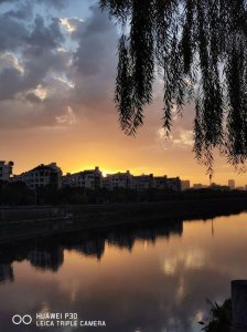 拂晓的意思是什么