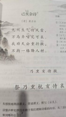 示儿古诗朗读(示儿古诗原文)-第1张图片-