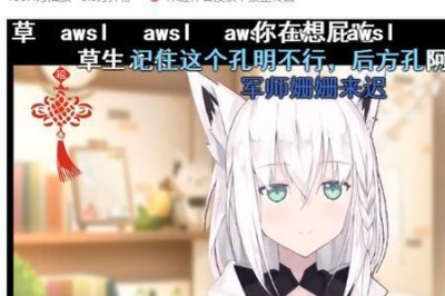 a20什么意思网络语言