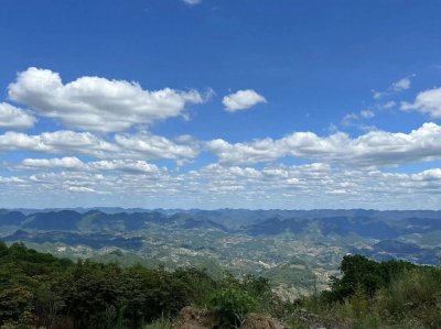 常见胃药的种类