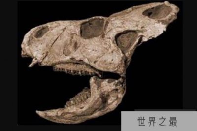 ​扁角龙：颈盾短小的植食恐龙，别名鞑靼扁角龙