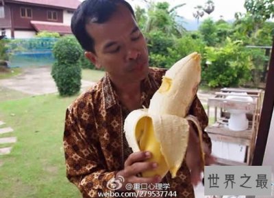 ​世界上最大的香蕉，重达4斤(4个人才能吃完)