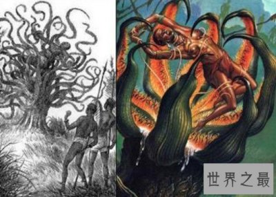 ​吃人植物食人柳，只要被缠上就会变成一堆白骨