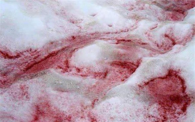 喜马拉雅山“秘密”被揭开:里面隐藏一个新世界