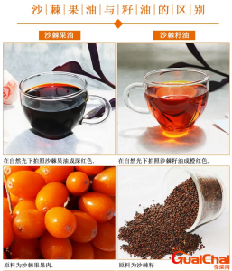 沙棘果油的功效和作用一天吃几回?沙棘果油的功效和作用和副作用