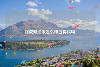 ​路虎柴油版怎么样值得买吗