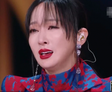 萨顶顶个人资料简介(娱乐圈的残酷真相,在39岁的萨顶顶身上表现得淋漓尽致)