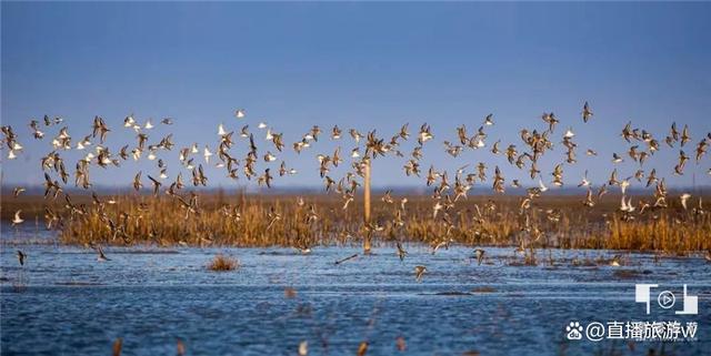 端午假期，长乐自驾游攻略出炉！-
