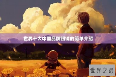 ​世界十大中国品牌眼镜的简单介绍