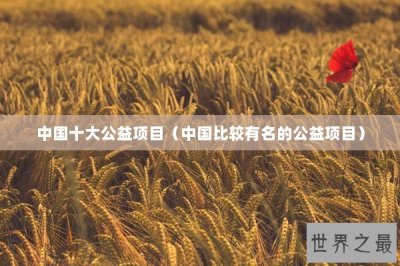 ​中国十大公益项目（中国比较有名的公益项目）