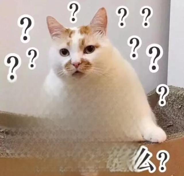 Pouch婴儿车推荐(帛琦)-Pouch婴儿车品牌怎么样,PouchQ8怎么样?和好孩子哪个好?-