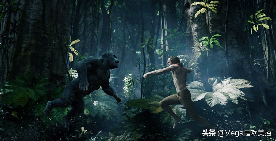 盘点:和大猩猩有关的15部电影,你看过几部?