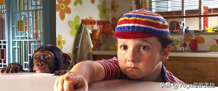 盘点:和大猩猩有关的15部电影,你看过几部?