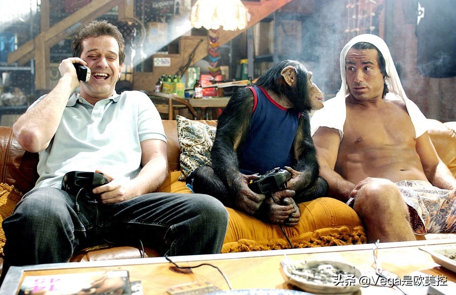 盘点:和大猩猩有关的15部电影,你看过几部?