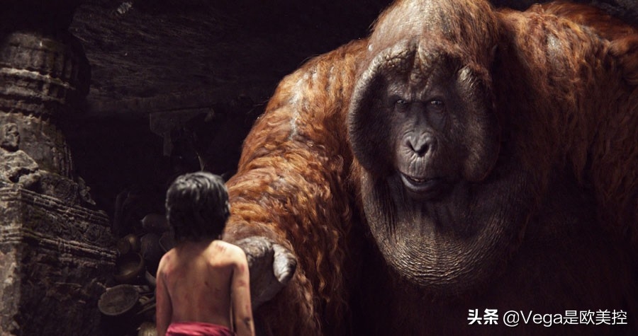 盘点:和大猩猩有关的15部电影,你看过几部?