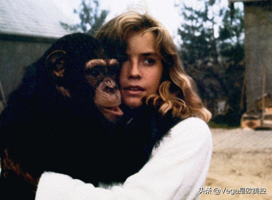 盘点:和大猩猩有关的15部电影,你看过几部?