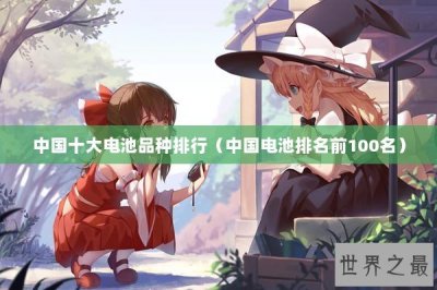 ​中国十大电池品种排行（中国电池排名前100名）