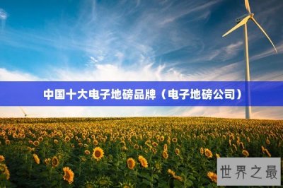 ​中国十大电子地磅品牌（电子地磅公司）