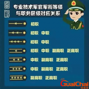 ​两杠三星是什么干部？两杠三星是什么级别？