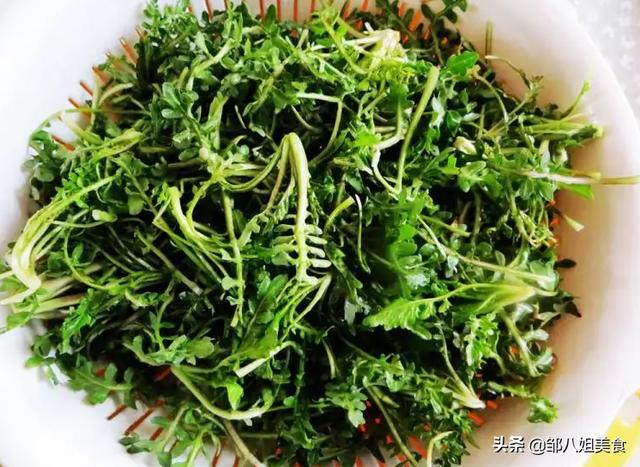 春天吃什么菜好菜谱(适合春天吃的4道菜)(4)