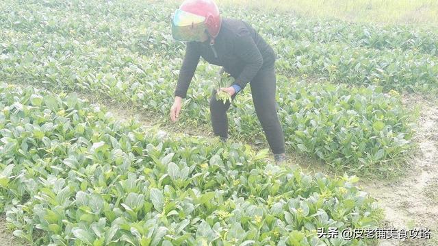 好看的农家菜菜谱大全(分享6道美味农家菜)(7)