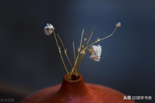 菜根谭4种人生智慧（人生最好的能力）(3)