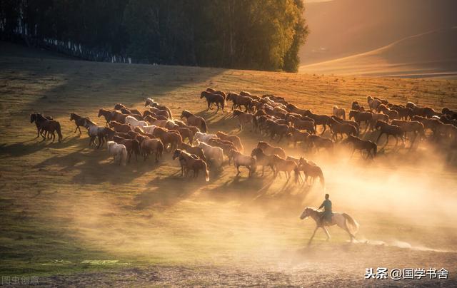 菜根谭4种人生智慧（人生最好的能力）(2)