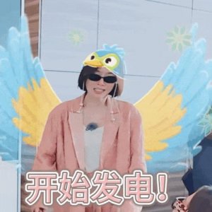 旅行综艺,长端掉队