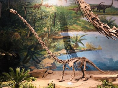 国内著名博物馆有哪些,盘点著名的50座博物馆,你去过几个(上)