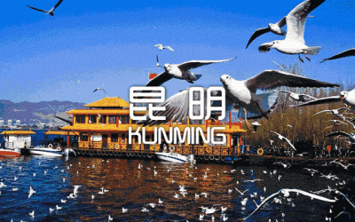 昆明为什么叫春城(昆明一年四季如春别称“春城”,你知道“昆明”这个名字的由