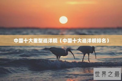 ​中国十大重型巡洋舰（中国十大巡洋舰排名）