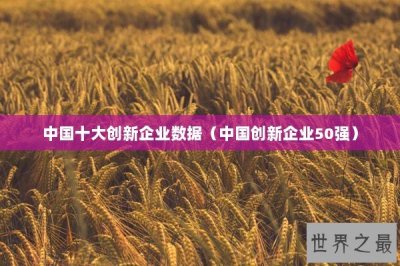 ​中国十大创新企业数据（中国创新企业50强）