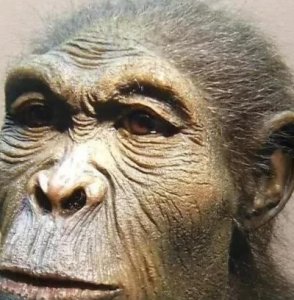 穆里亚文明真的存在吗?玛雅文明古籍中有记载,让人怀疑进化论