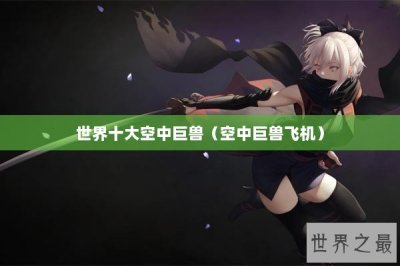 ​世界十大空中巨兽（空中巨兽飞机）