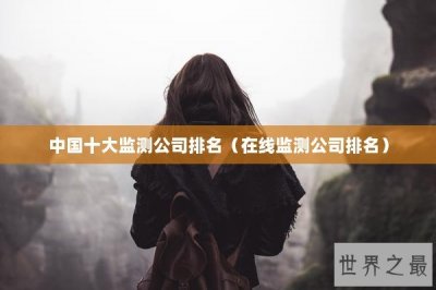 ​中国十大监测公司排名（在线监测公司排名）