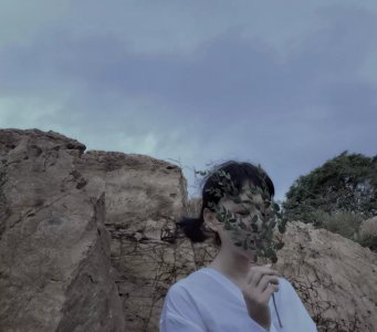 雪小禅|所有九月的深情,都为你